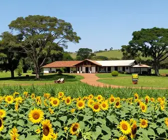 12 melhores hotéis fazenda em Goiânia: um guia atualizado